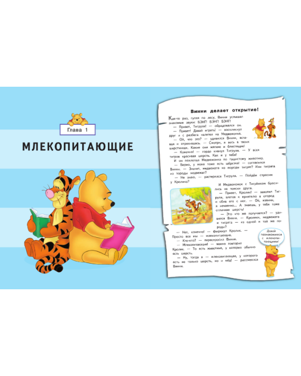Дополнительное изображение книги «Животные»