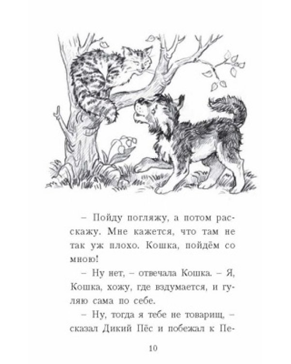 О пушистых кошечках