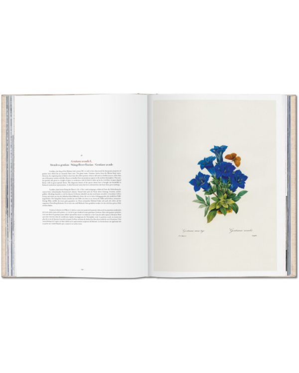 Redoute. Selection of the Most Beautiful Flowers