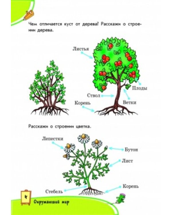 Сборник заданий. 5-6 лет