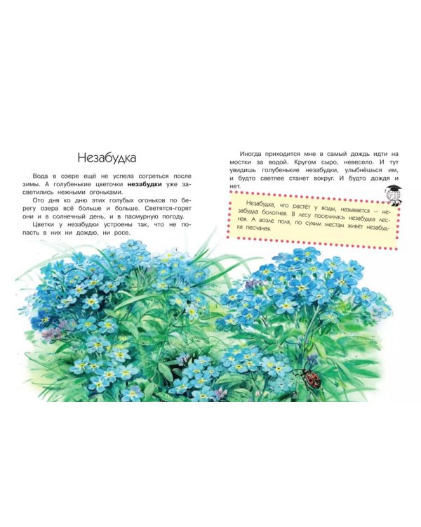 Что на озере растет?