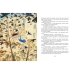 Дополнительное изображение книги «До свидания, овраг!»