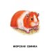 Дополнительное изображение книги «Домашние животные»