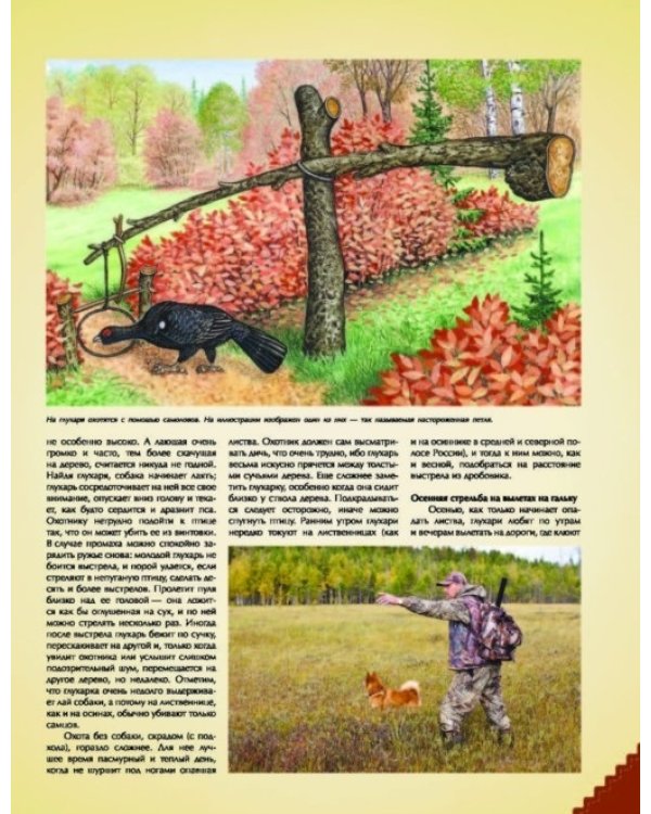 Дополнительное изображение книги «Большая энциклопедия охоты»