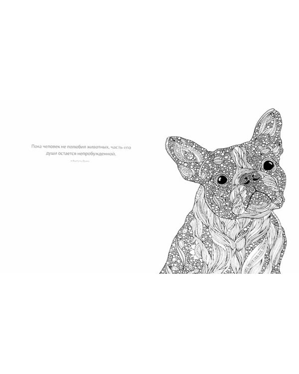 Необыкновенные животные (слон)