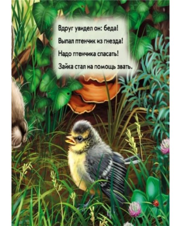 Зайчик