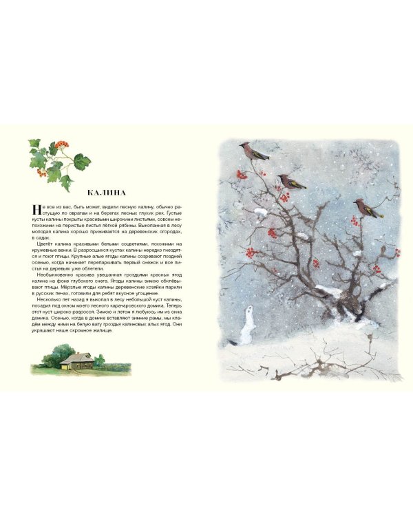 Русский лес