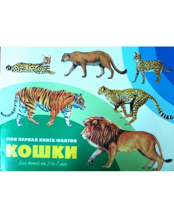 Кошки