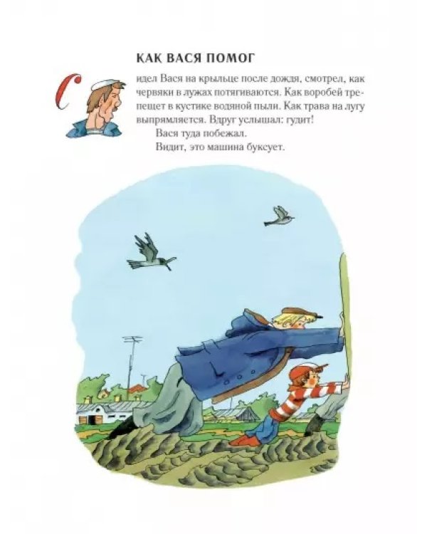 Как цветок вырос