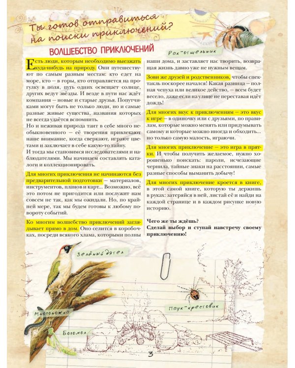 Энциклопедия для мальчиков. Книга приключений