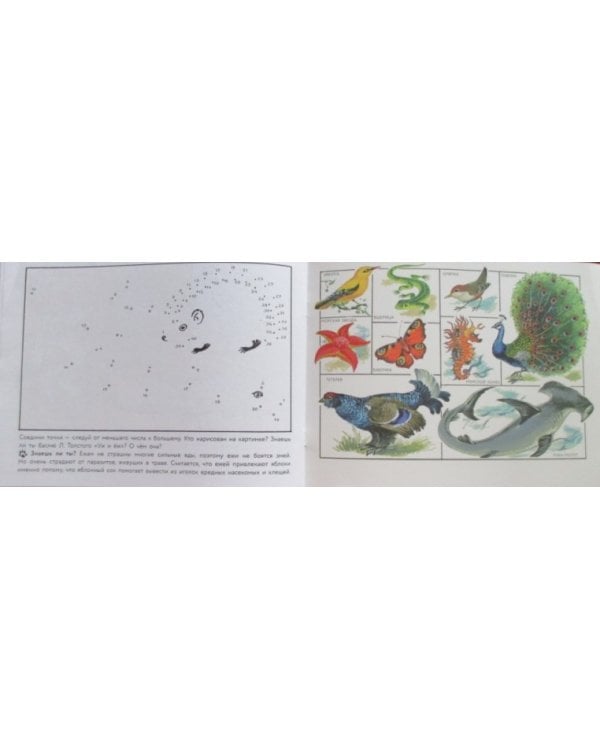 Кошка мяукает,поросенок хрюкает