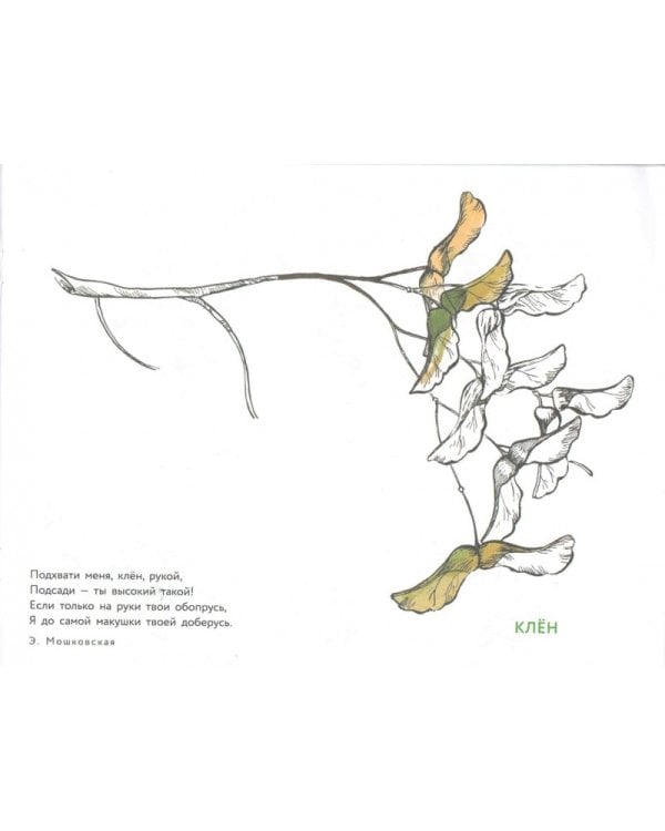 Альбом для раскрашивания. Угадай, нарисуй, раскрась