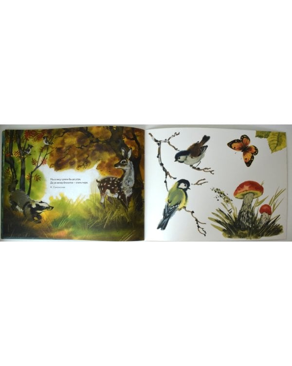 Чудеса леса