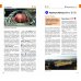 Южная Корея. Путеводитель с мини-разговорником