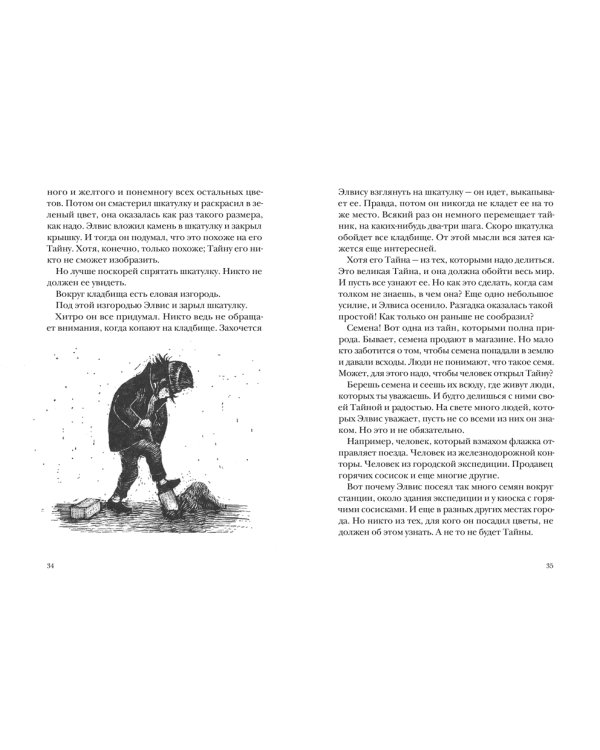 Элвис Карлссон