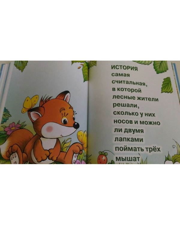 Книга-мечта о прогулках зимой и летом, о больших и маленьких и другие истории про меня
