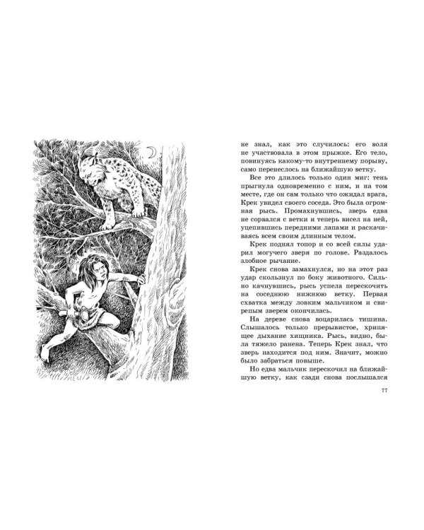 Приключения доисторического мальчика