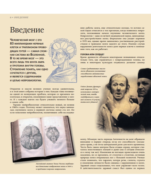 Дополнительное изображение книги «Мозг»