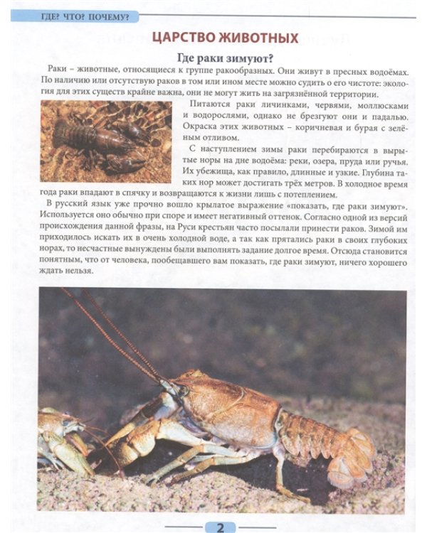 Что? Где? Почему?