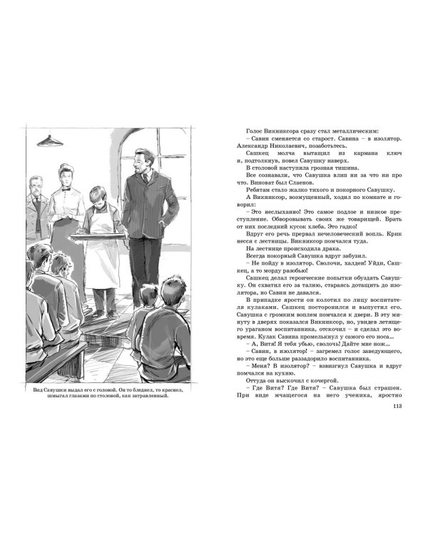 Республика Шкид