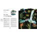 A World Full of Animal Stories UK: 50 favourite animal folk tales, myths and legends