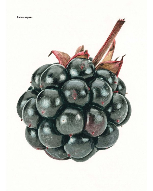 Волшебный мир Анны Мейсон.Рисуем природу.Все секреты реалистичной живописи