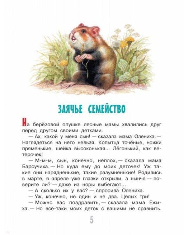 Лесные приключения