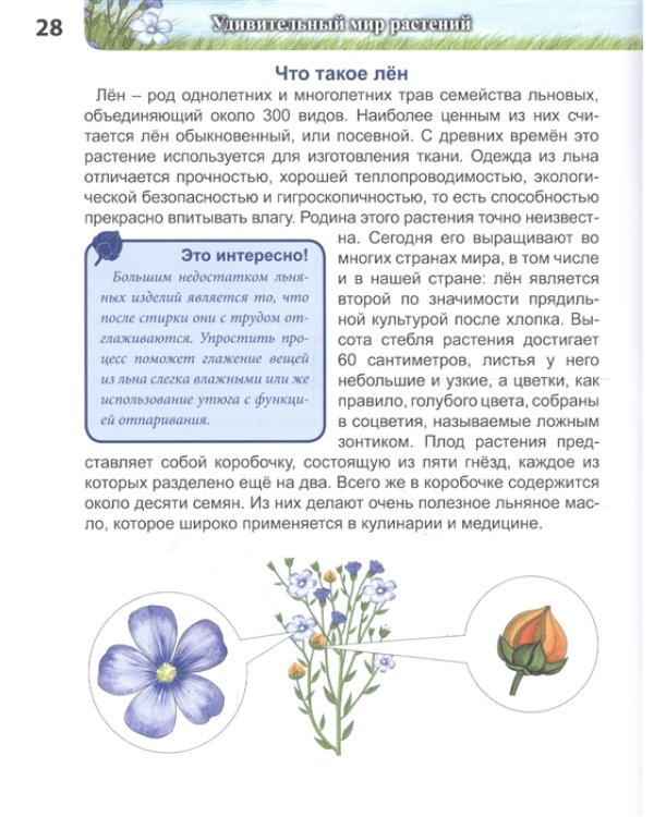Энциклопедия. Удивительный мир растений