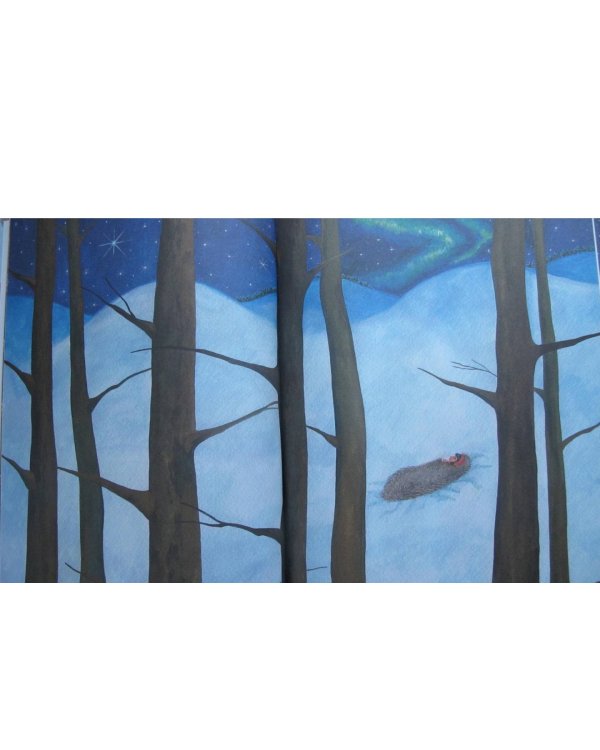 Звездоглазка. Финская сказка