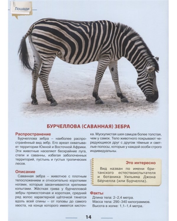 Энциклопедия для детей. Лошади