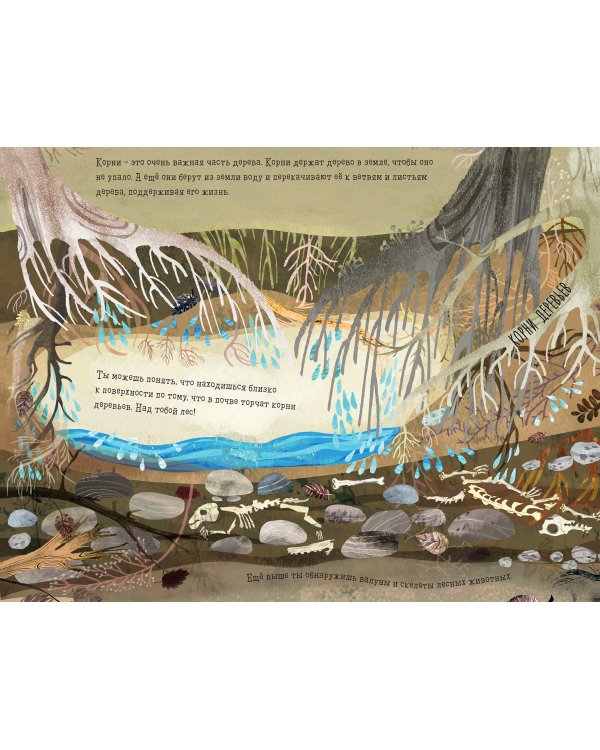 Что скрыто под асфальтом?