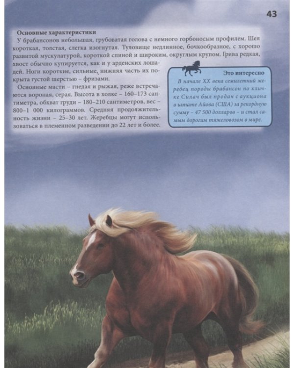 Хочу все знать. Лошади