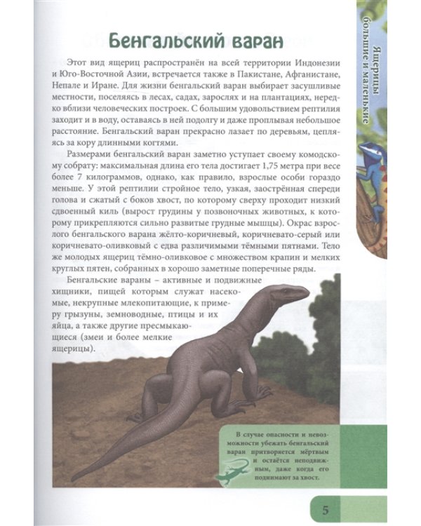 Энциклопедия. Ящерицы большие и маленькие