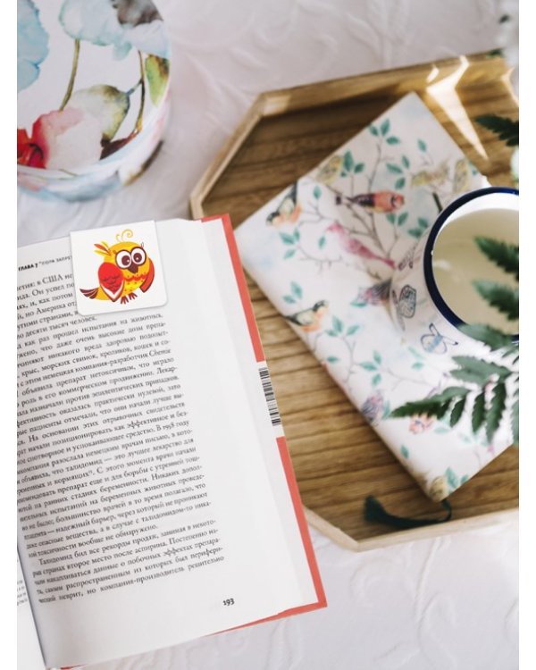 Закладки магнитные Совы, 4 штуки, 47х49 мм
