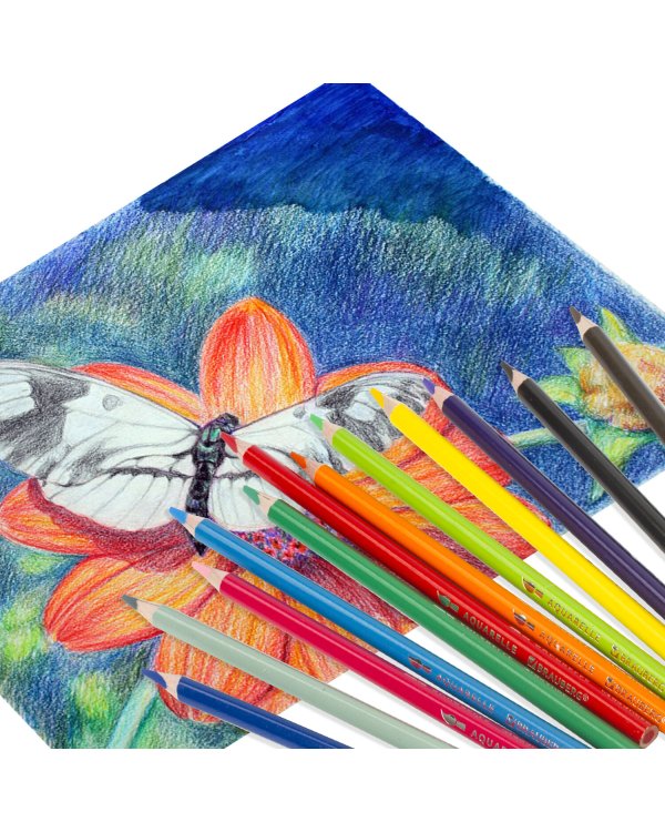 Карандаши цветные акварельные "Premium Aquarelle", 12 цветов, грифель мягкий 4 мм