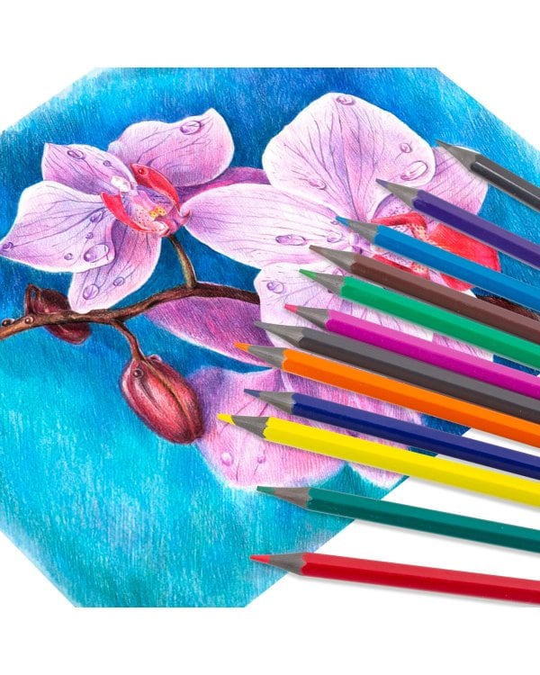 Карандаши цветные Пифагор "Сказочный город", 12 цветов, черный пластик, заточенные