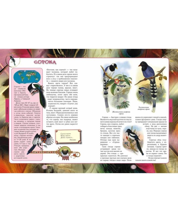 Животный мир нашей планеты