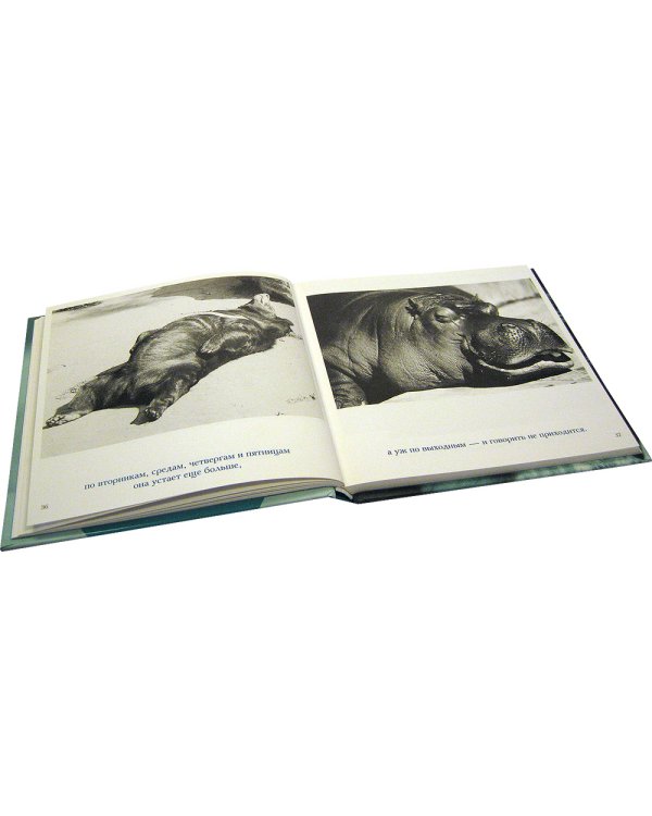 Дополнительное изображение книги «Невероятная правда о материнстве»