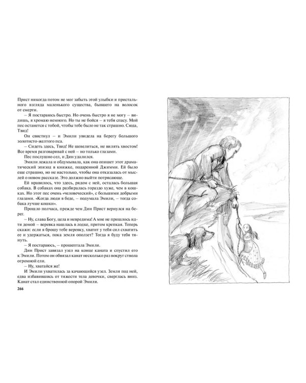 Эмили из Молодой луны