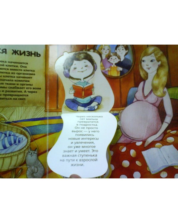 Человек. Детская энциклопедия с окошками