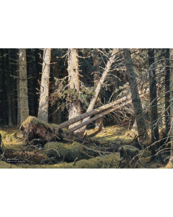 Русский лес