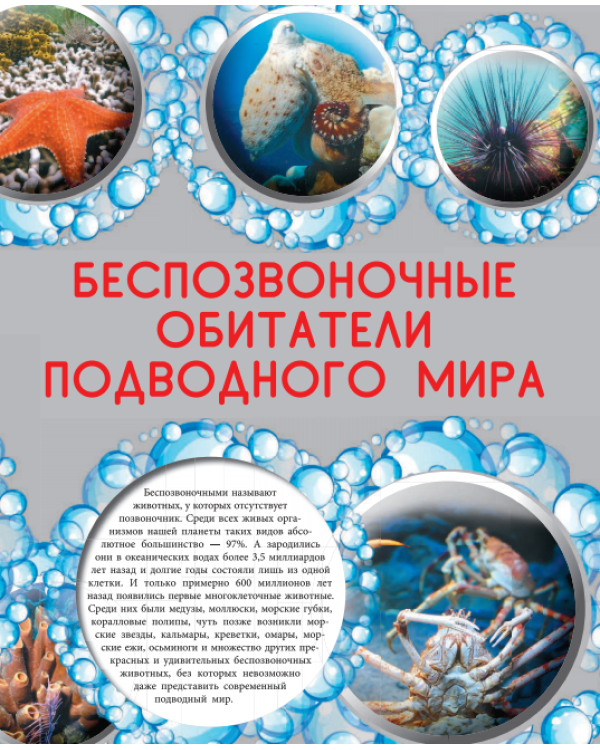 Обитатели морей и океанов / Кошевар Дмитрий Васильевич