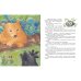 Храбрый Тилли. Записки щенка, написанные хвостом