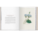 Redoute. Selection of the Most Beautiful Flowers