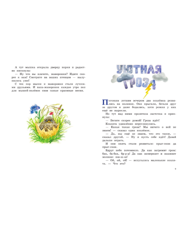 Дорога домой