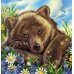 Медвежонок