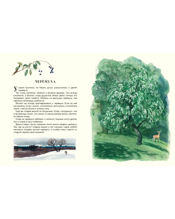 Русский лес