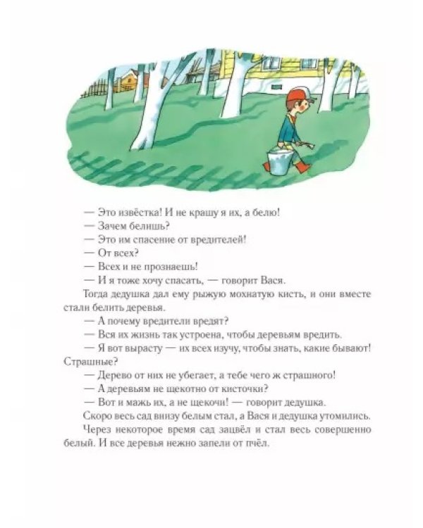 Как цветок вырос