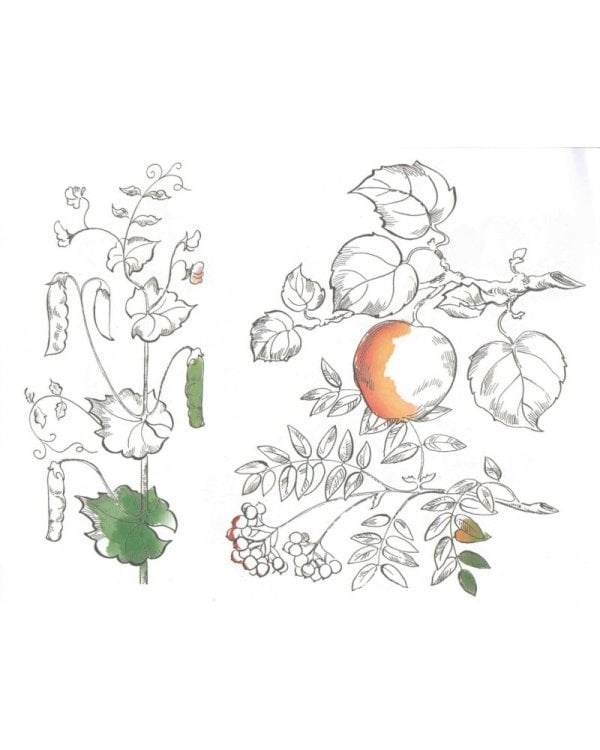 Альбом для раскрашивания. Угадай, нарисуй, раскрась