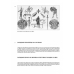 Военный костюм Исторический военный атлас с древнейших времен до конца XVI века